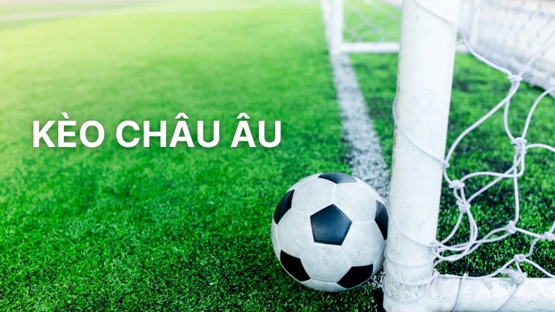 Kèo Châu Âu: Hướng Dẫn Đọc Và Phân Tích Tỷ Lệ Chuẩn Xác